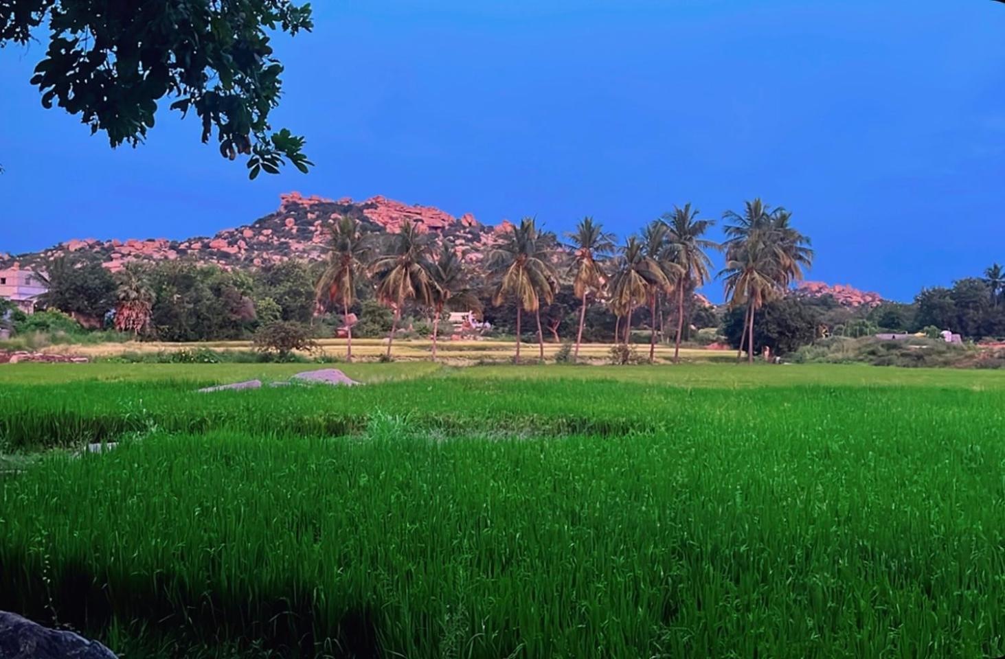 Sunrise Guest House & Restaurant هامبي المظهر الخارجي الصورة